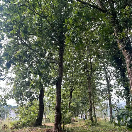 La Fontaine Feriehus Noia