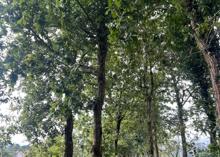 La Fontaine Σπίτι διακοπών Noia