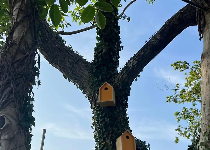 Σπίτι διακοπών La Fontaine *